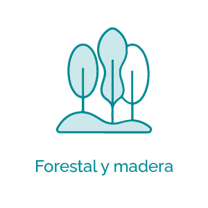 Forestal y madera